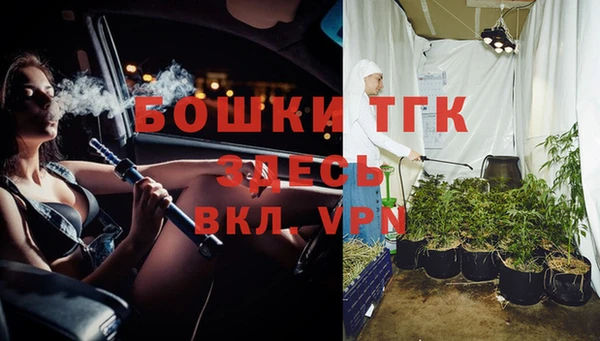 дживик Вязьма