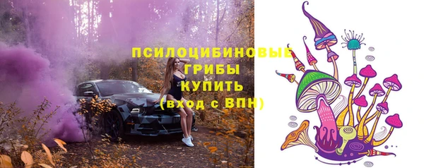 первитин Горнозаводск
