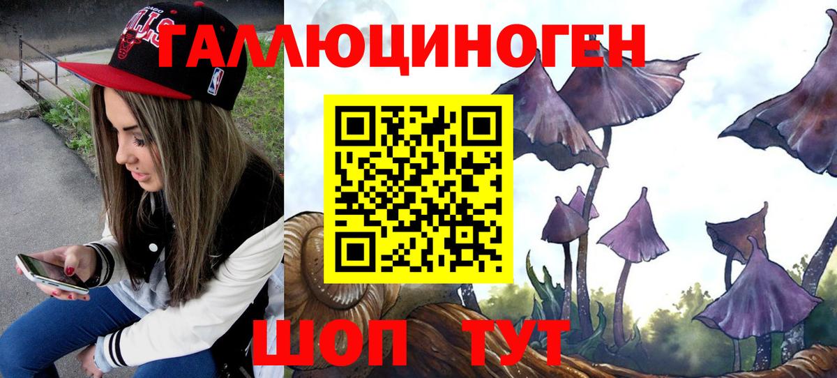 Псилоцибиновые грибы Psilocybe  Медногорск 