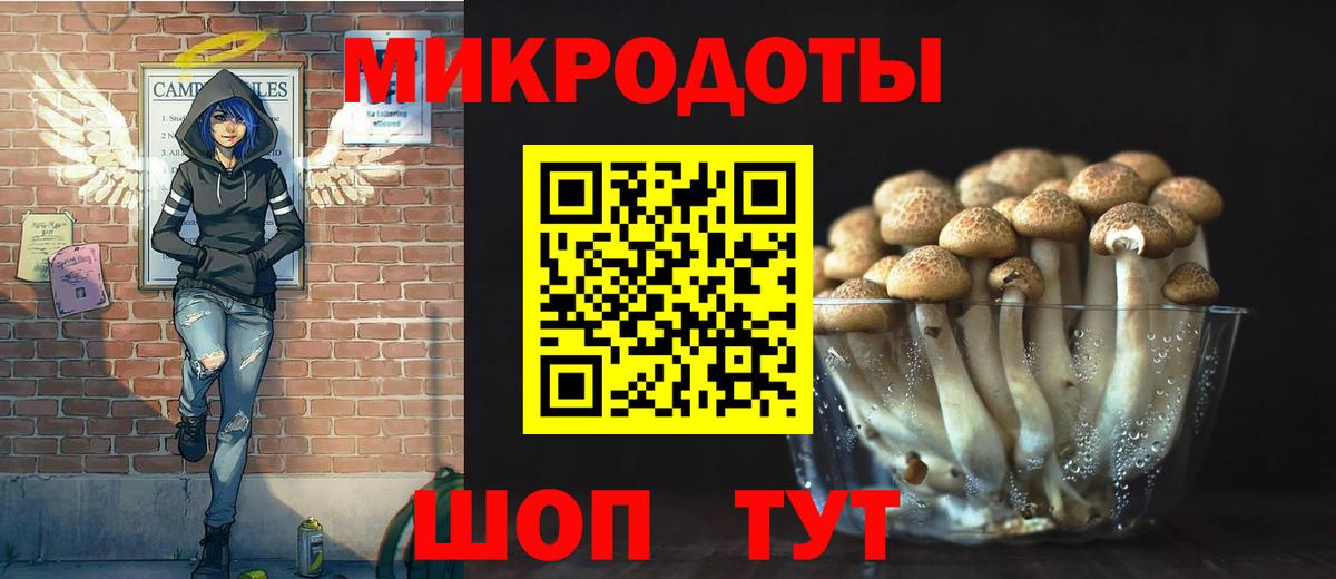 Медногорск  Галлюциногенные грибы Psilocybine cubensis  Вход с VPN 