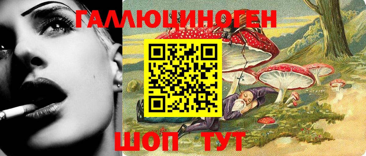 Галлюциногенные грибы GOLDEN TEACHER Медногорск